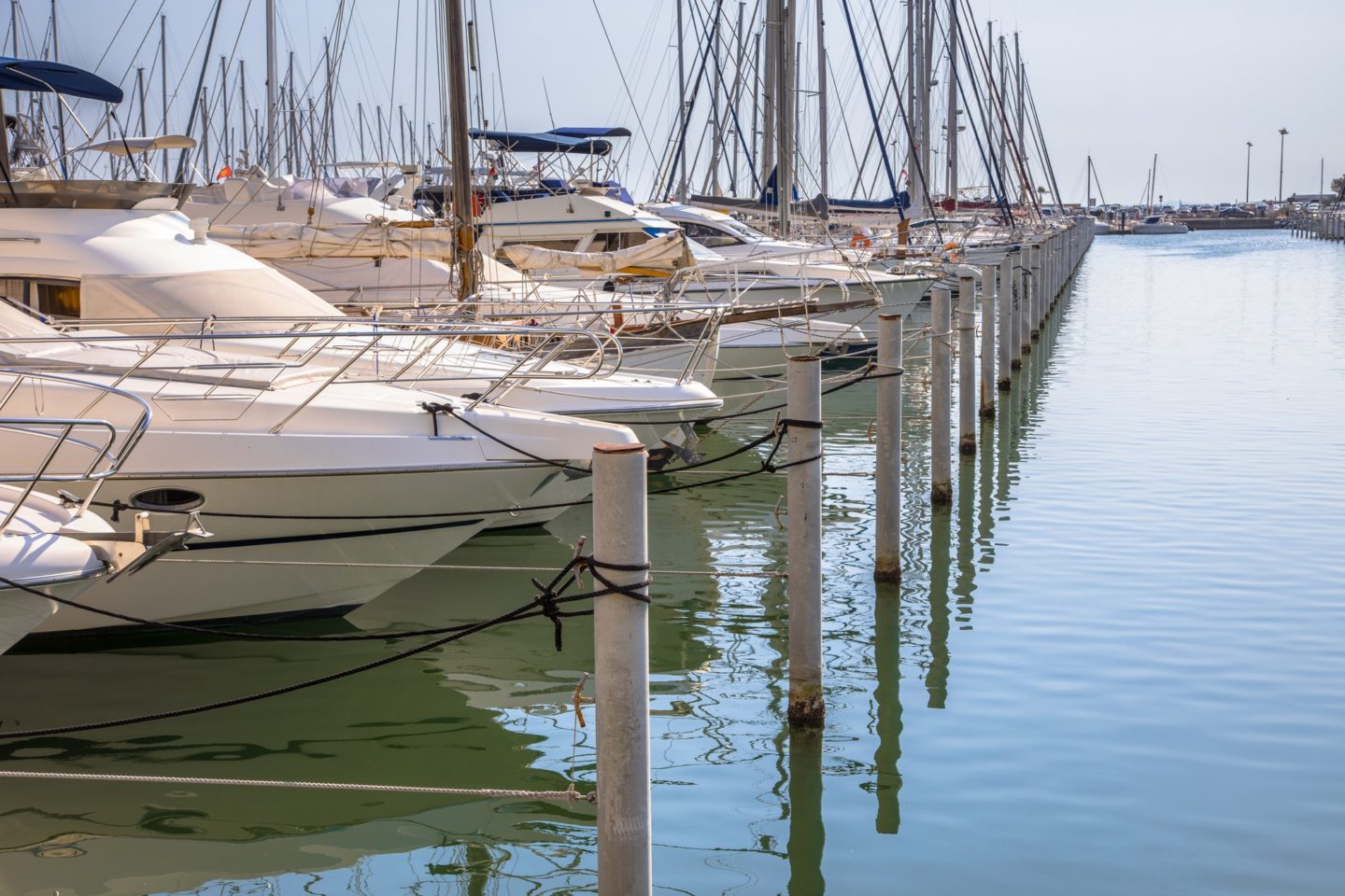 Marina with yachts